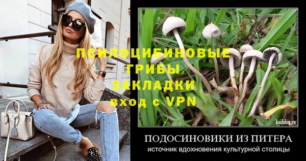 амф Алексеевка