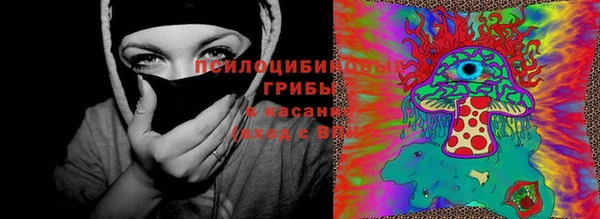 амф Алексеевка